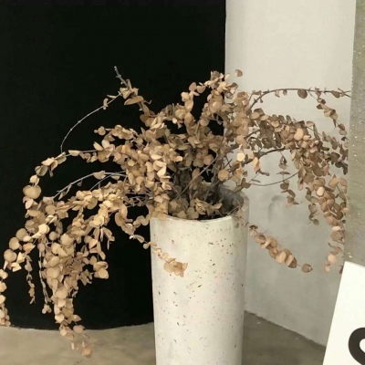 兽设线稿上色教程福瑞交流群